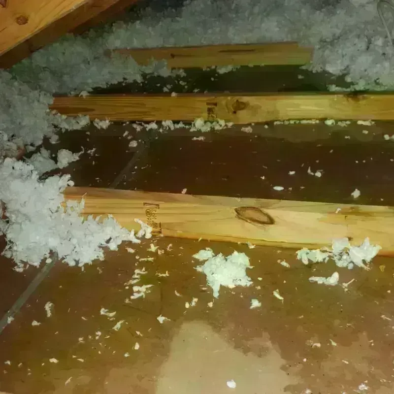 Attic Water Damage in Thomasville, NC